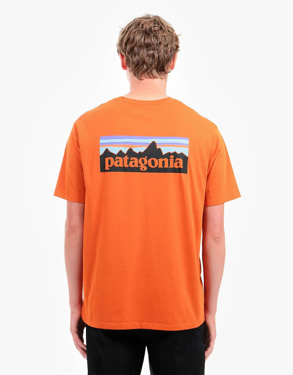 Patagonia t store shirt orange