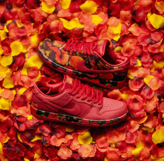 Nike SB 'Wizard of Oz' Dunk Low Pro