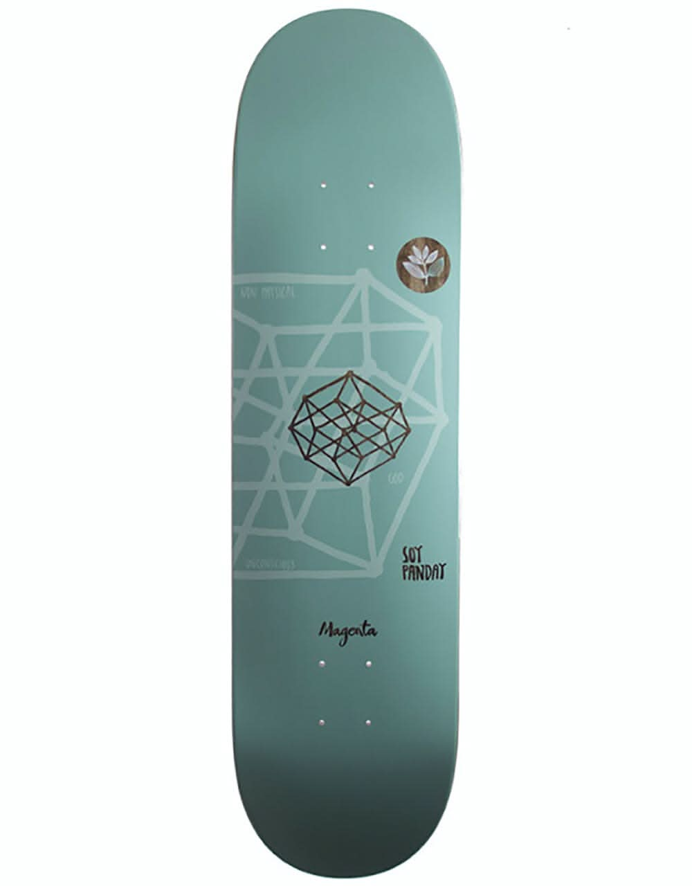 Magenta Panday Dictionary Series Skateboard Deck - 8"